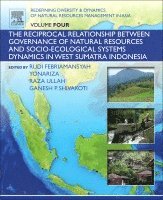 Ganesh Shivakoti, Rudi Febriamansyah, Yonariza Yonariza, Raza Ullah - Redefining Diversity and Dynamics of Natural Resources Management in Asia, Volume 4, Häftad. Tillgänglighet: Lägg i varukorg