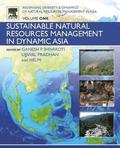Redefining Diversity and Dynamics of Natural Resources Management in Asia, Volume 1