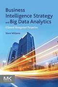 Business Intelligence Strategy and Big Data Analytics