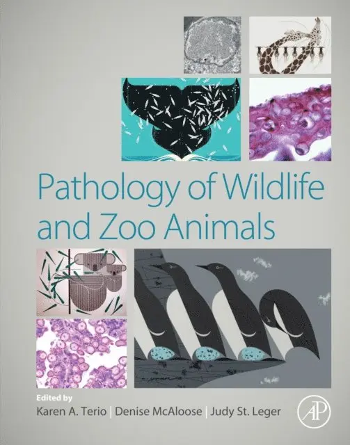 Judy St. Leger, Denise McAloose, Karen A. Terio - Pathology of Wildlife and Zoo Animals, E-bok. Tillgänglighet: Lägg i varukorg