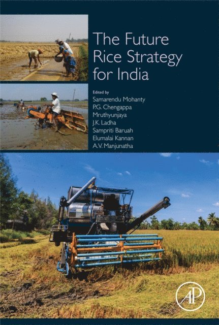 A. V. Manjunatha, Elumalai Kannan, Sampriti Baruah, J.K. Ladha, Mruthunjaya Hedge, P. G. Chengappa, Samarendu Mohanty - Future Rice Strategy for India, E-bok