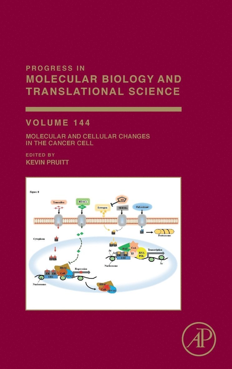 Molecular and Cellular Changes in the Cancer Cell