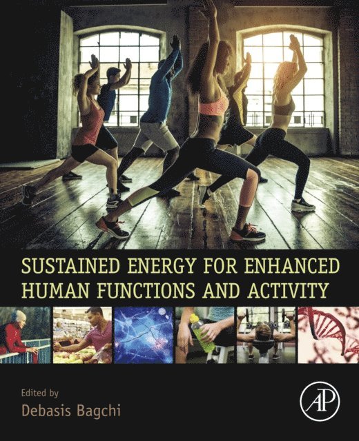 Debasis Bagchi - Sustained Energy for Enhanced Human Functions and Activity, E-bok