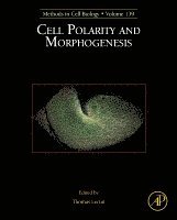 Cell Polarity and Morphogenesis