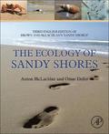 Ecology of Sandy Shores