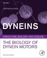 Stephen M. King - Dyneins, Inbunden. Tillgänglighet: Lägg i varukorg