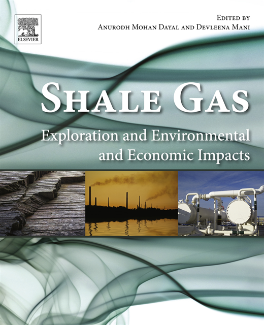 Devleena Mani, Anurodh Mohan Dayal - Shale Gas, E-bok