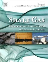 Anurodh Mohan Dayal, Devleena Mani - Shale Gas, Häftad