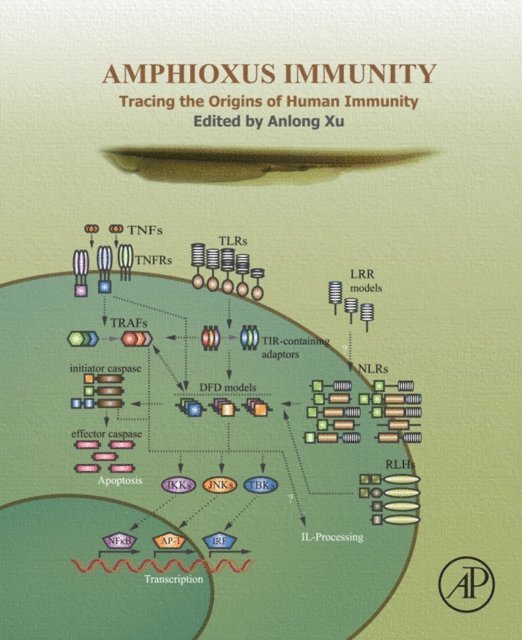 An-Long Xu - Amphioxus Immunity, E-bok