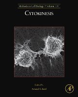 Cytokinesis