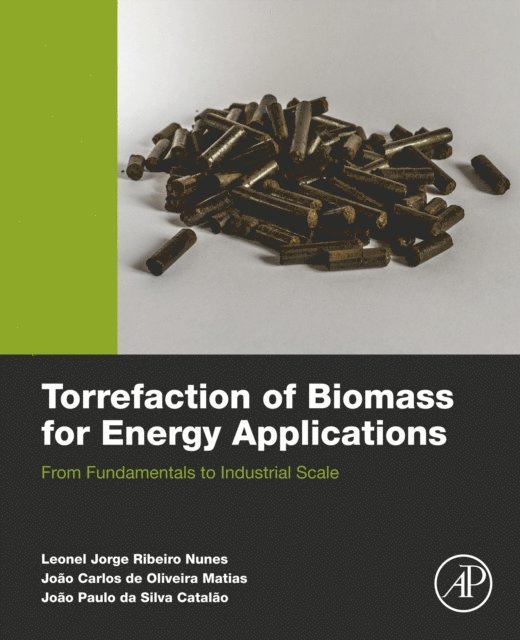 Joao Paulo Da Silva Catalao, Joao Carlos De Oliveira Matias, Leonel JR Nunes - Torrefaction of Biomass for Energy Applications, E-bok
