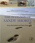 Ecology of Sandy Shores