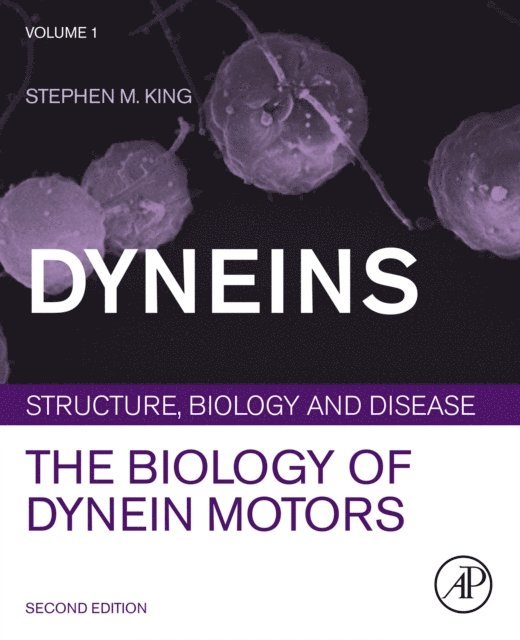 Stephen M. King - Dyneins, E-bok. Tillgänglighet: Lägg i varukorg