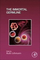 The Immortal Germline