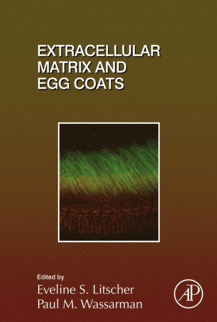 Extracellular Matrix and Egg Coats