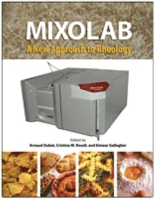 Arnaud Dubat - Mixolab, E-bok