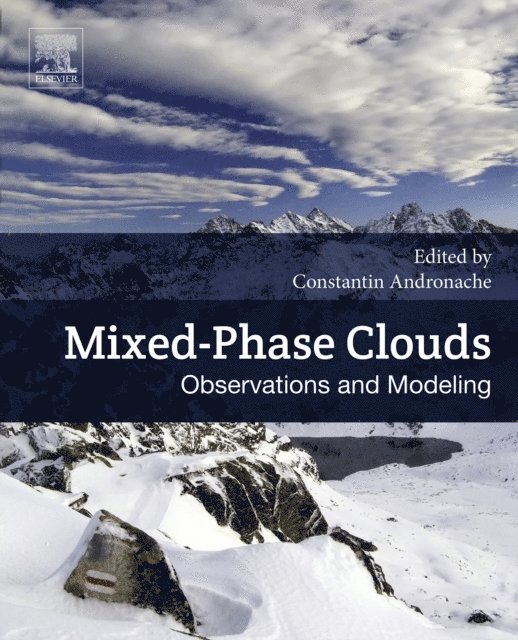 Constantin Andronache - Mixed-Phase Clouds, E-bok