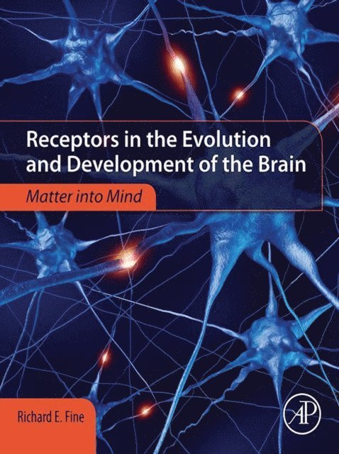 Richard E. Fine - Receptors in the Evolution and Development of the Brain, E-bok