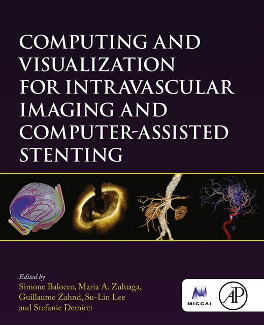 Stefanie Demirci, Su-Lin Lee, Guillaume Zahnd, Maria A. Zuluaga, Simone Balocco - Computing and Visualization for Intravascular Imaging and Computer-Assisted Stenting, E-bok