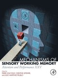 Mechanisms of Sensory Working Memory