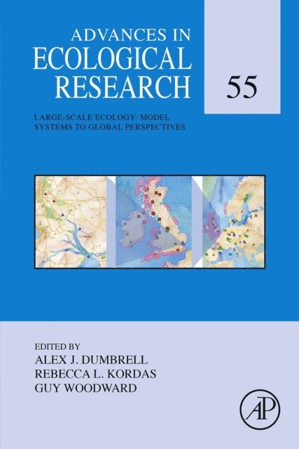 Large-Scale Ecology: Model Systems to Global Perspectives, E-bok