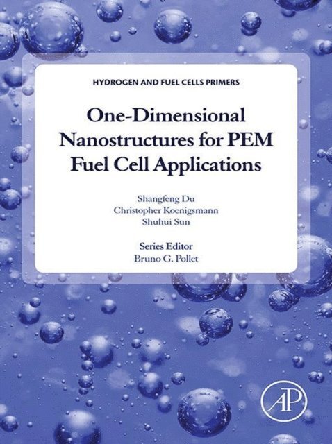 Shuhui Sun, Christopher Koenigsmann, Shangfeng Du - One-dimensional Nanostructures for PEM Fuel Cell Applications, E-bok