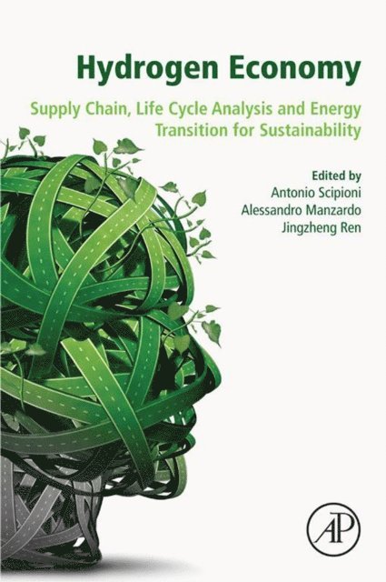 Jingzheng Ren, Alessandro Manzardo, Antonio Scipioni - Hydrogen Economy, E-bok