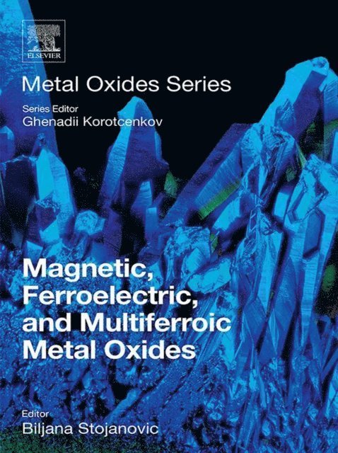 Biljana Stojanovic - Magnetic, Ferroelectric, and Multiferroic Metal Oxides, E-bok