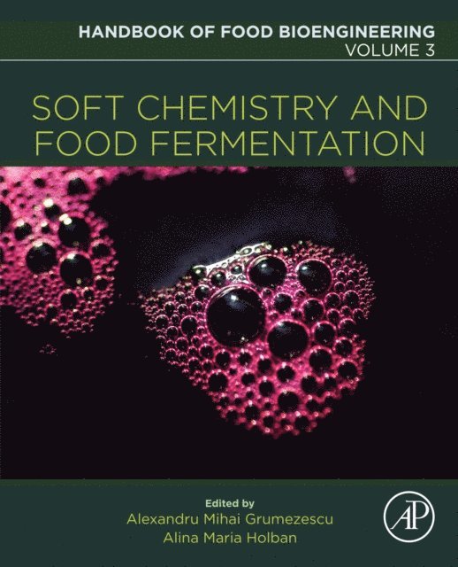 Alina Maria Holban, Alexandru Mihai Grumezescu - Soft Chemistry and Food Fermentation, E-bok
