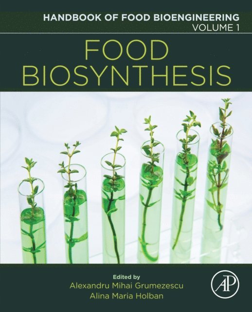 Alina Maria Holban, Alexandru Mihai Grumezescu - Food Biosynthesis, E-bok