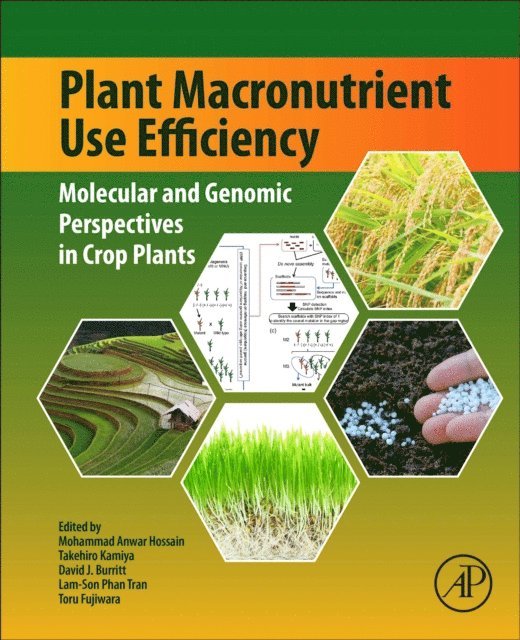 Toru Fujiwara, Lam-Son Phan Tran, David Burritt, Takehiro Kamiya, Mohammad Anwar Hossain - Plant Macronutrient Use Efficiency, E-bok