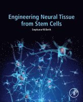 Stephanie Willerth - Engineering Neural Tissue from Stem Cells, Häftad. Tillgänglighet: Lägg i varukorg