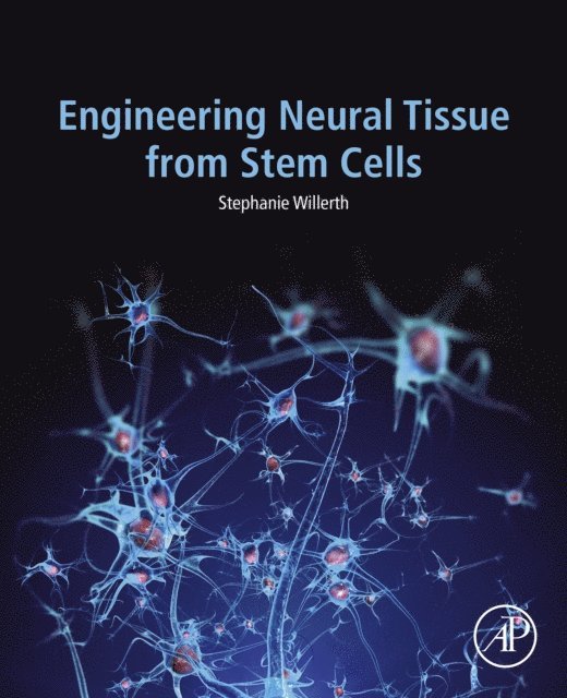Stephanie Willerth - Engineering Neural Tissue from Stem Cells, E-bok. Tillgänglighet: Lägg i varukorg