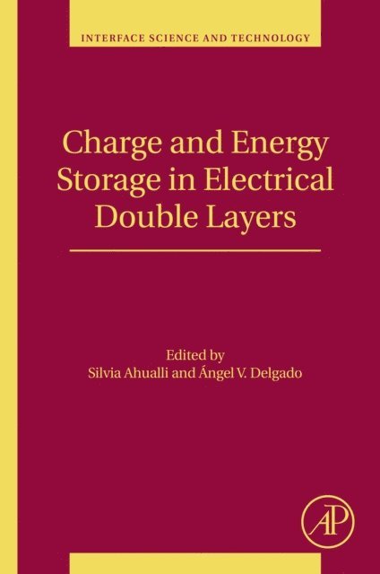 Angel V. Delgado, Silvia Ahualli - Charge and Energy Storage in Electrical Double Layers, E-bok