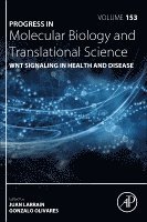 WNT Signaling