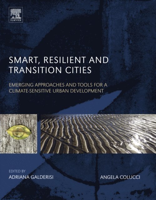 Angela Colucci, Adriana Galderisi - Smart, Resilient and Transition Cities, E-bok