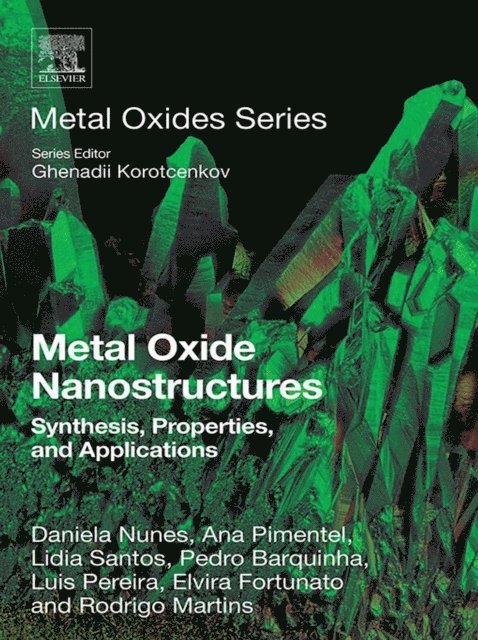 Rodrigo Martins, Elvira Fortunato, Luis Miguel Nunes Pereira, Pedro Barquinha, Lidia Santos, Ana Pimentel, Daniela Nunes - Metal Oxide Nanostructures, E-bok