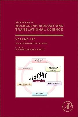 P. Hemachandra Reddy - Molecular Biology of Aging, Inbunden