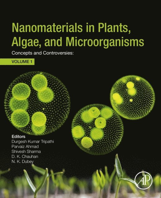 Nawal Kishore Dubey, Devendra Kumar Chauhan, Shivesh Sharma, Parvaiz Ahmad, Durgesh Kumar Tripathi - Nanomaterials in Plants, Algae, and Microorganisms, E-bok