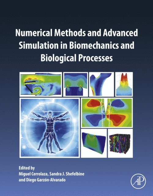 Diego Garzon-Alvarado, Sandra Shefelbine, Miguel Cerrolaza - Numerical Methods and Advanced Simulation in Biomechanics and Biological Processes, E-bok