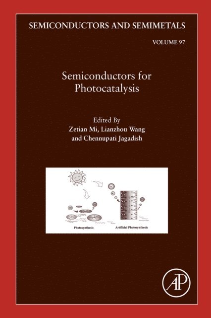 Semiconductors for Photocatalysis, E-bok