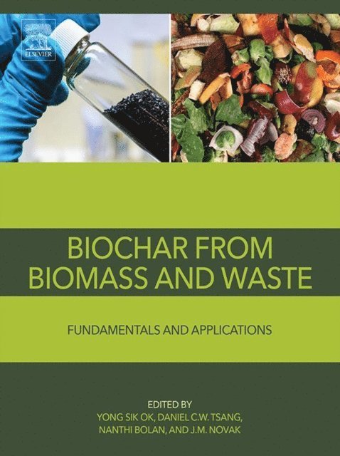 Jeffrey M. Novak, Nanthi Bolan, Daniel C.W. Tsang, Yong Sik Ok - Biochar from Biomass and Waste, E-bok