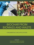 Biochar from Biomass and Waste