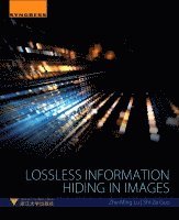 Lossless Information Hiding in Images