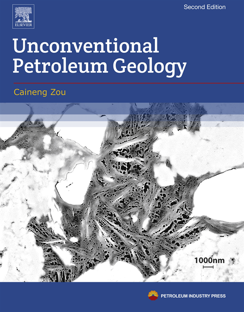Caineng Zou - Unconventional Petroleum Geology, E-bok. Tillgänglighet: Lägg i varukorg