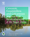 Cenozoic Foraminifera and Calcareous Nannofossil Biostratigraphy of the Niger Delta