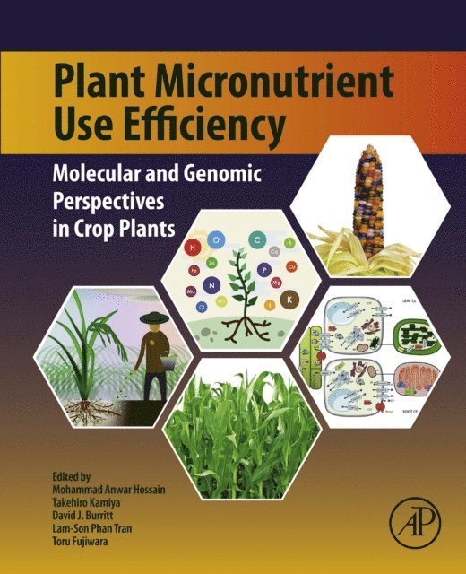 Toru Fujiwara, Lam-Son Phan Tran, David Burritt, Takehiro Kamiya, Mohammad Anwar Hossain - Plant Micronutrient Use Efficiency, E-bok