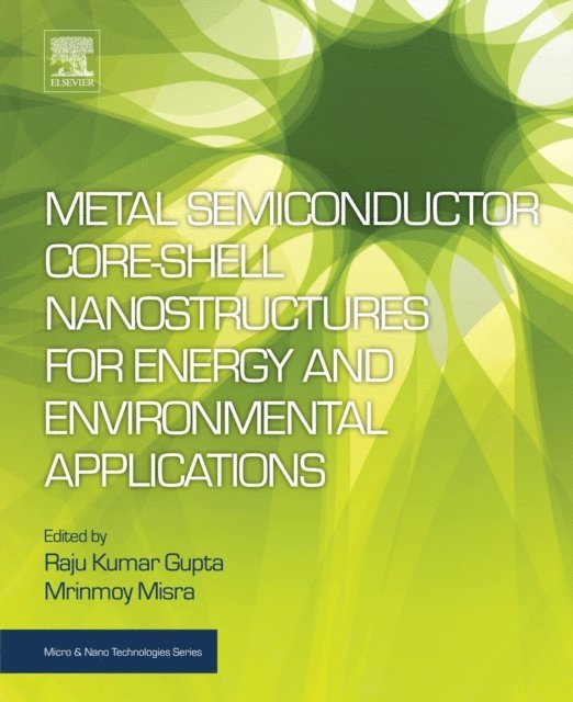 Mrinmoy Misra, Raju Kumar Gupta - Metal Semiconductor Core-shell Nanostructures for Energy and Environmental Applications, E-bok