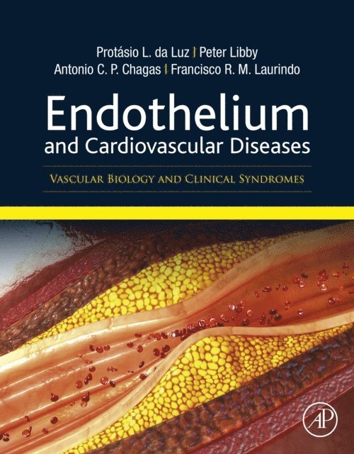Antonio Carlos Palandri Chagas, Francisco Rafael Martins Laurindo, Peter Libby, Protasio L. Da Luz - Endothelium and Cardiovascular Diseases, E-bok