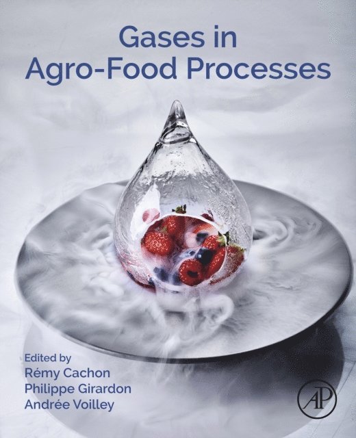 Andree Voilley, Philippe Girardon, Remy Cachon - Gases in Agro-food Processes, E-bok